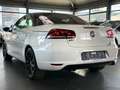 Volkswagen Eos Sport & Style*HU/AU NEU* Weiß - thumbnail 7