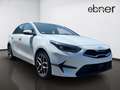 Kia Ceed / cee'd Ceed 1.5 T-GDI Spirit 140PS DCT Navi/Rückfahrkam Weiß - thumbnail 18