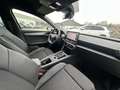 CUPRA Leon 2.0 TSI DSG ACC FaPa-L KAMERA KESSY Grau - thumbnail 15