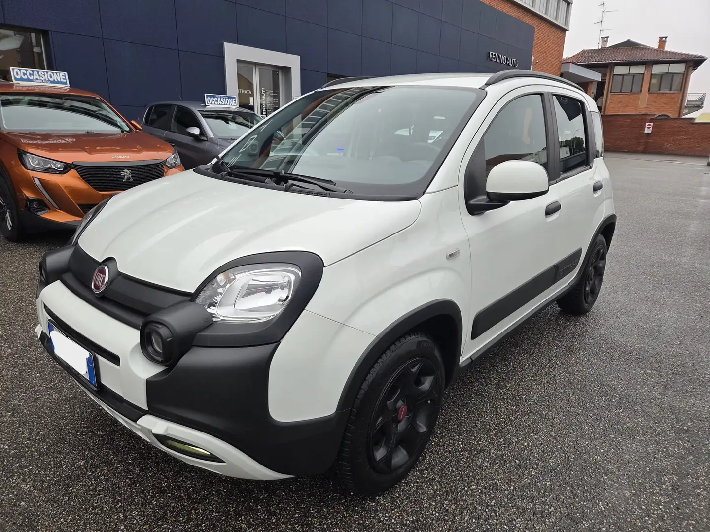 Fiat Panda 1.0 firefly hybrid City Cross S&S Bianco - 2