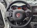 Fiat Panda 1.0 firefly hybrid City Cross S&S Wit - thumbnail 20