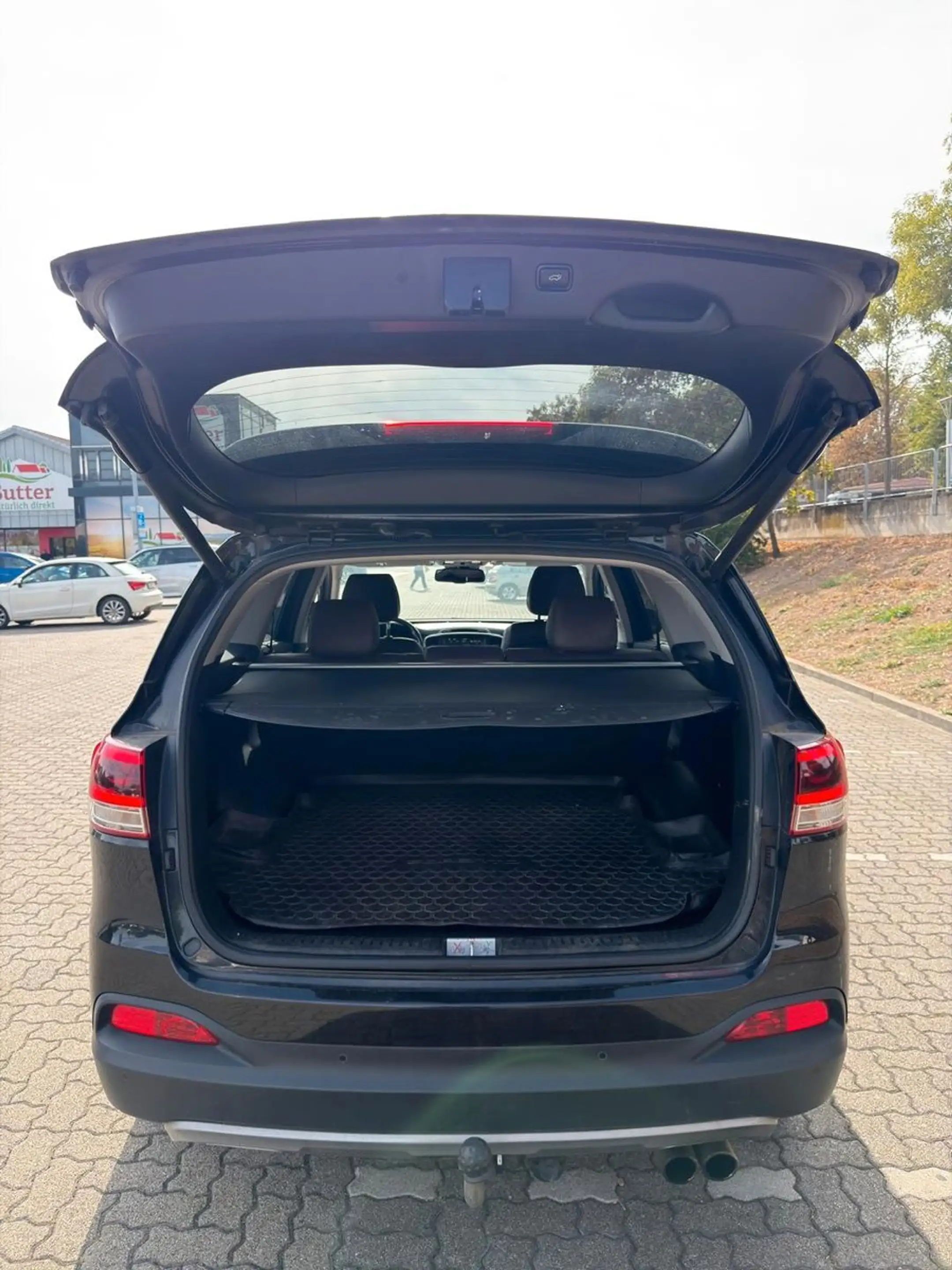 Kia Sorento Platinum Edition 4WD/360°/AHK/Pano/Xenon — photo 7
