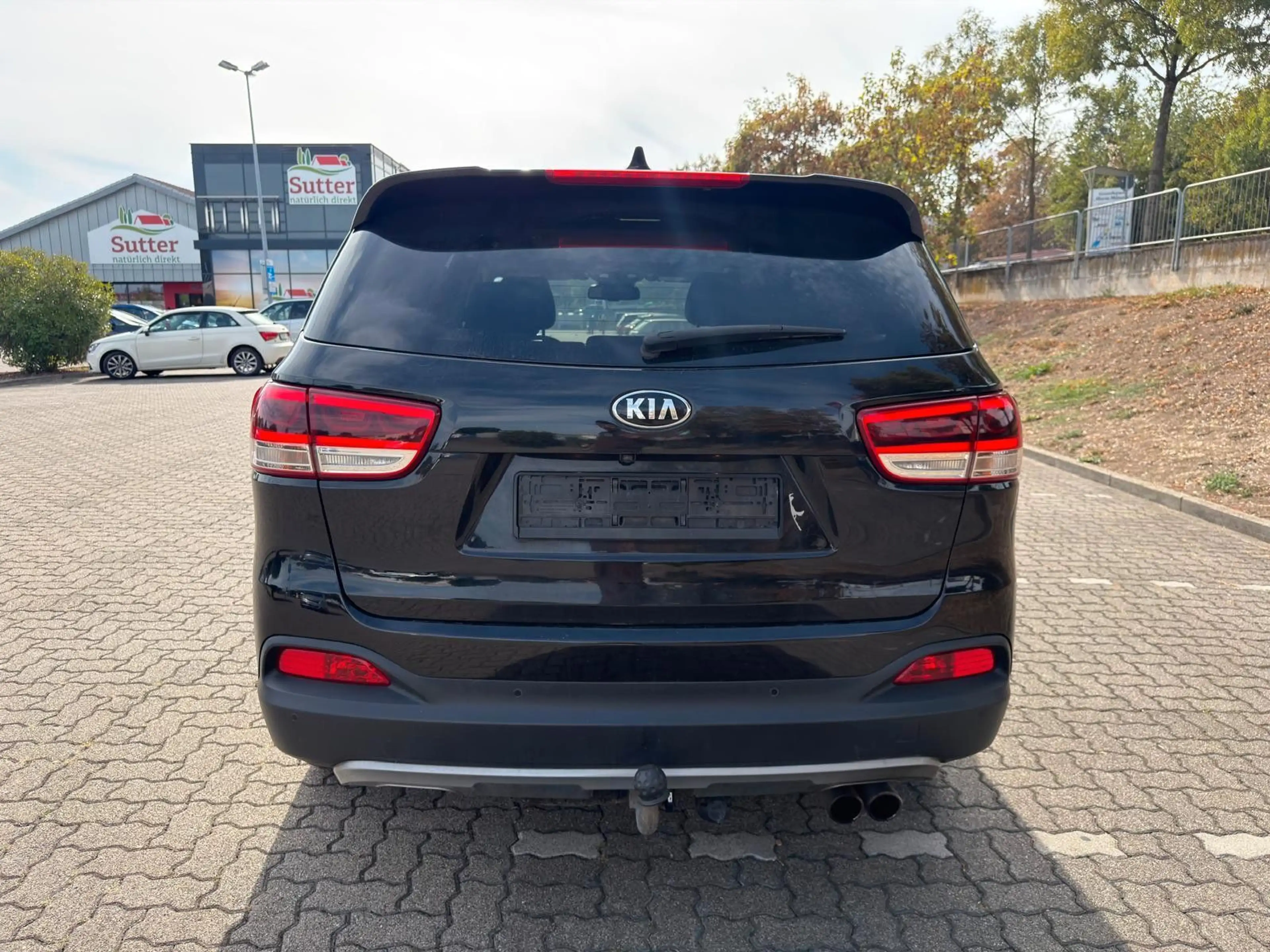 Kia Sorento Platinum Edition 4WD/360°/AHK/Pano/Xenon — photo 6