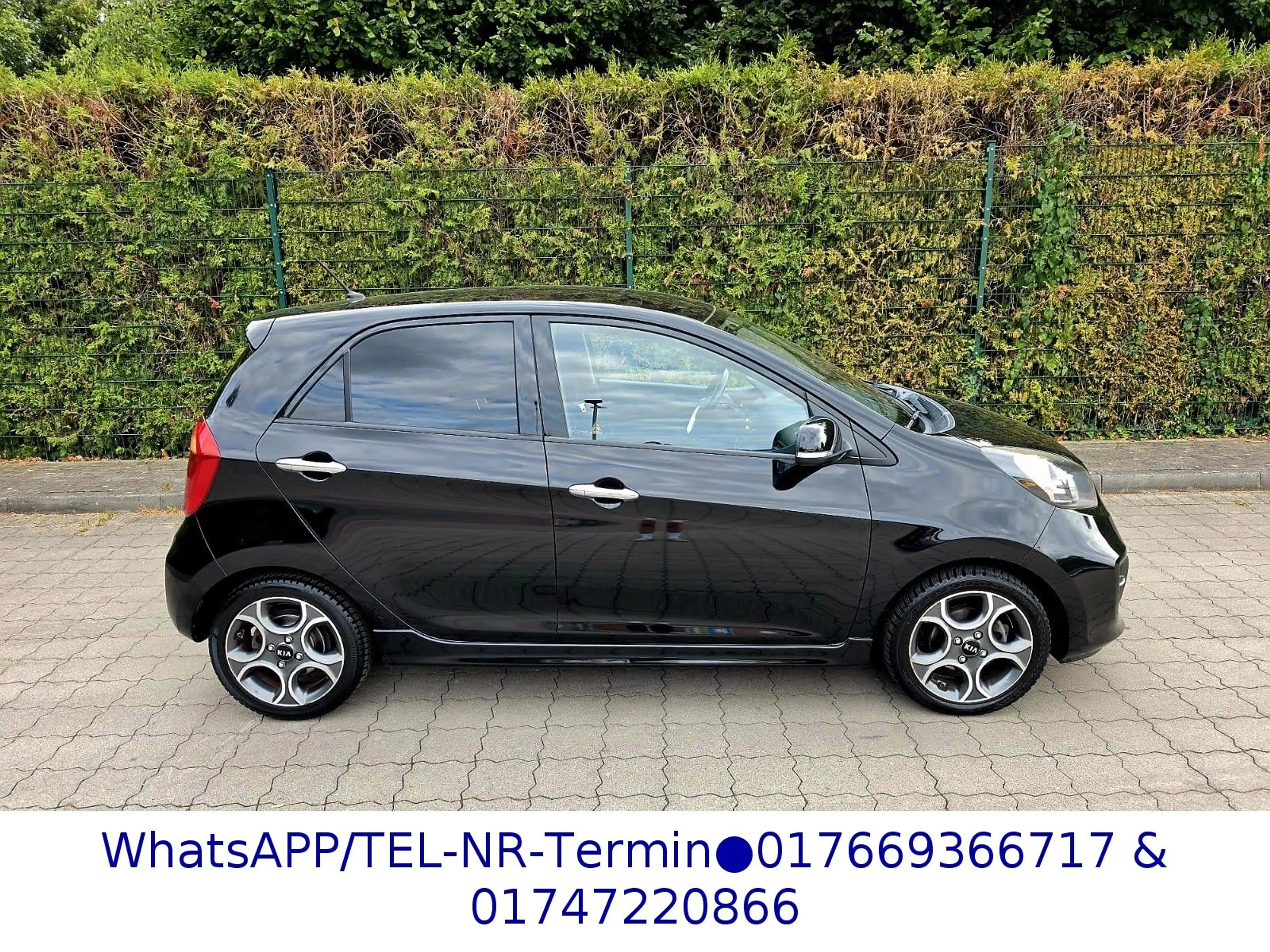Kia Picanto Spirit*86PS!*BT*SHZ*klimaautomat*TÜV NEU — photo 5