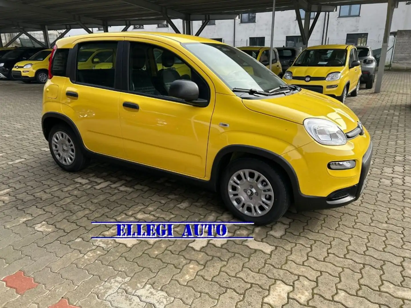 Fiat Panda PROMO FINANZ 1.0 HYBRID+PACK CITY KM 0 Geel - 2