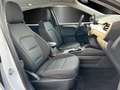 Ford Kuga 2.5 Duratec Plug-in-Hybrid PHEV/SYNC3/SHZ/ Bianco - thumbnail 7