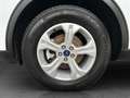 Ford Kuga 2.5 Duratec Plug-in-Hybrid PHEV/SYNC3/SHZ/ Bianco - thumbnail 14