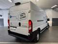 Citroen Jumper FT L3H2 CLUB ELECTRIQUE Blanc - thumbnail 3
