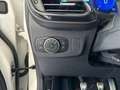 Ford Puma 1.0 EcoBoost Hybrid 125 CV S&S ST-Line Wit - thumbnail 14
