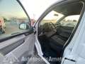 Volkswagen Caravelle 2.0 TDI 102CV PC Trendline Bianco - thumbnail 9