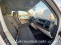 Volkswagen Caravelle 2.0 TDI 102CV PC Trendline Bianco - thumbnail 11