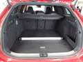 Volkswagen Passat R-Line TDI Matrix/CarPlay/AHK/StHz/Virt Rot - thumbnail 10