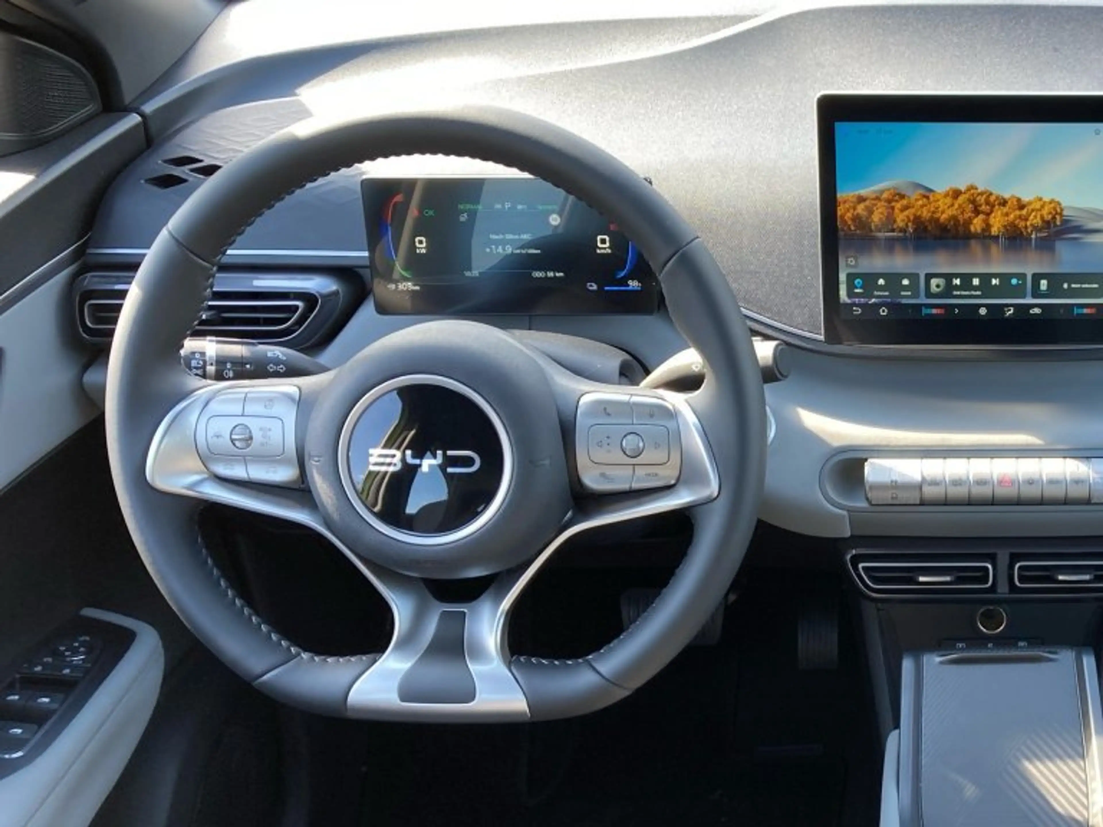 BYD Dolphin Surf Dolphin Surf — photo 10
