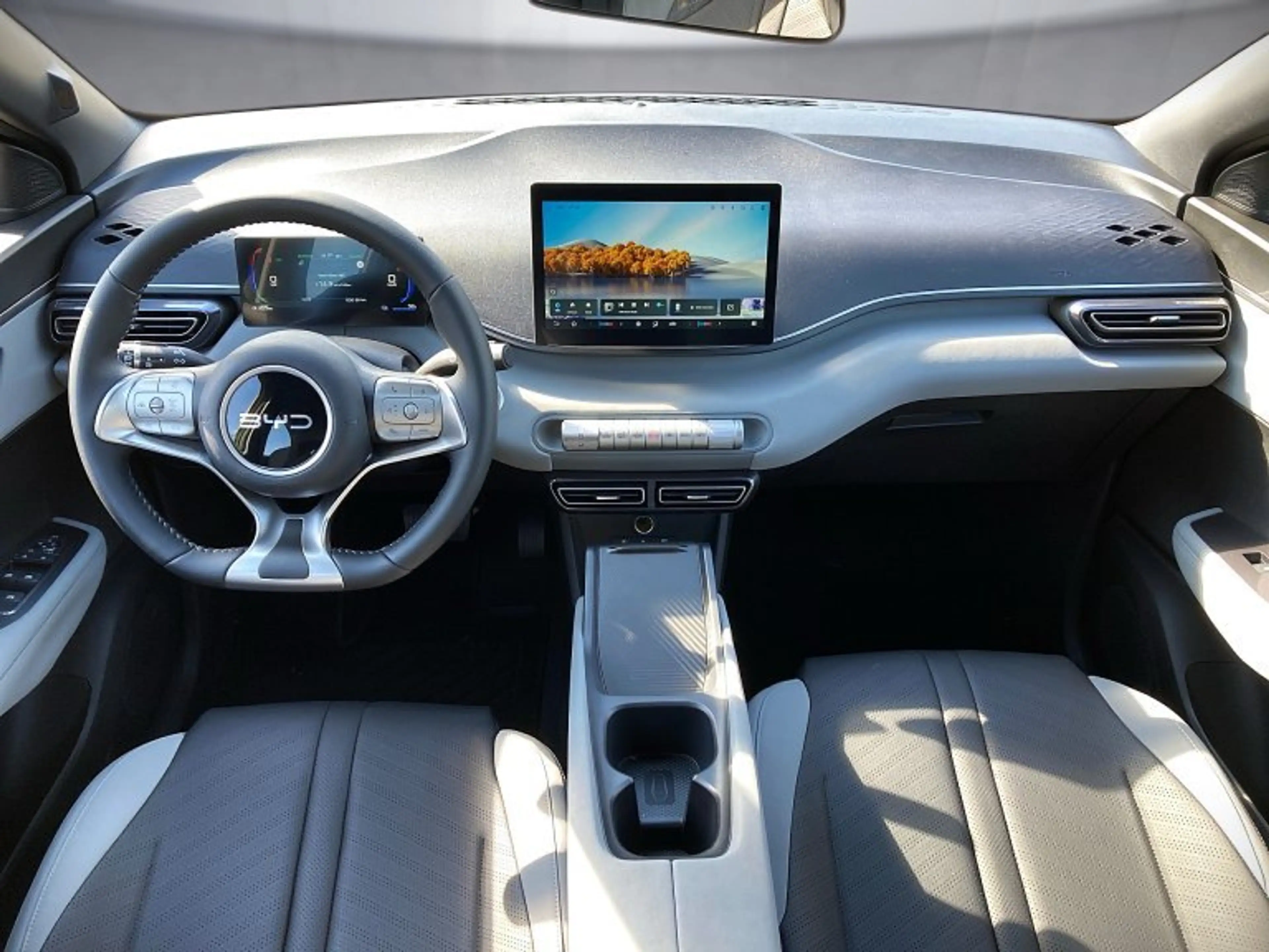 BYD Dolphin Surf Dolphin Surf — photo 9
