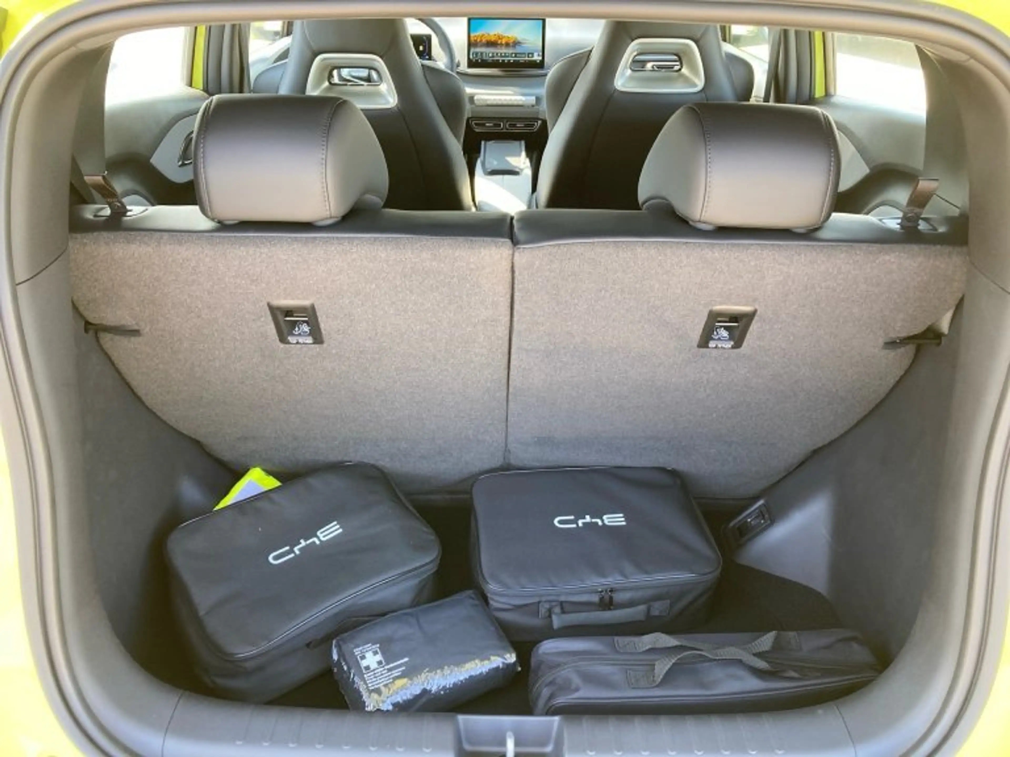BYD Dolphin Surf Dolphin Surf — photo 13
