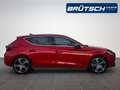 SEAT Leon FR 1.5 eTSI DSG / AHK / PANORAMA / VOLL-LED / NAVI Rot - thumbnail 8
