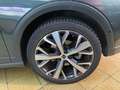 SEAT Arona Xperience DSG Grün - thumbnail 5