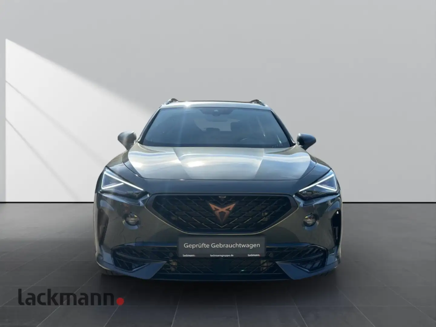 CUPRA Formentor 2.0 Tribe Edition 4Drive*Pano*Matrix* Grau - 2