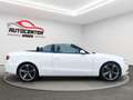Audi A5 2.0 TFSI quattro (165kW) Navi Leder 19"Zoll Blanc - thumbnail 6