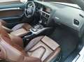 Audi A5 2.0 TFSI quattro (165kW) Navi Leder 19"Zoll Blanc - thumbnail 13