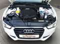 Audi A5 2.0 TFSI quattro (165kW) Navi Leder 19"Zoll Blanc - thumbnail 9