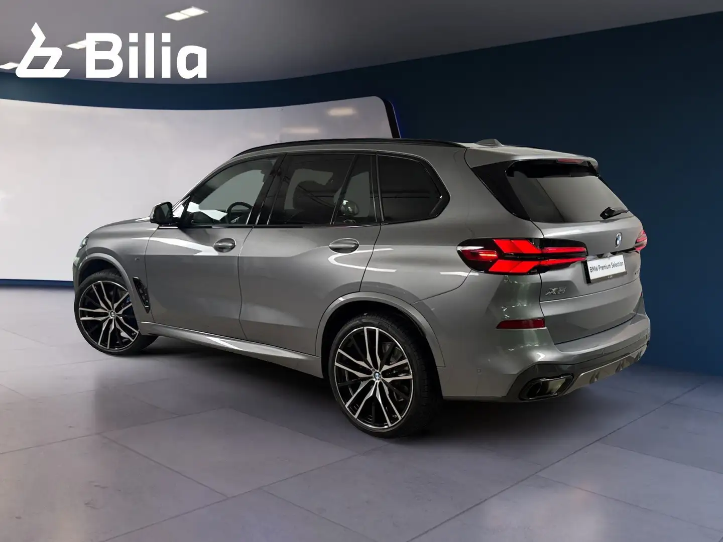 BMW X5 xDrive40d Gestiksteuerung DAB Grau - 2