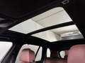 BMW X5 xDrive40d Gestiksteuerung DAB Grau - thumbnail 10