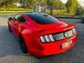 Ford Mustang Mustang Fastback 2.3 ecoboost 317cv auto Rouge - thumbnail 7