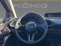 Mazda CX-30 2.0L e-SKYACTIV X 186PS AT6 HOMURA Gris - thumbnail 8