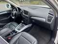 Audi Q5 Q5 2.0 TDI 170 CV quattro Blanc - thumbnail 8