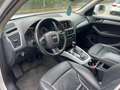 Audi Q5 Q5 2.0 TDI 170 CV quattro Blanc - thumbnail 10