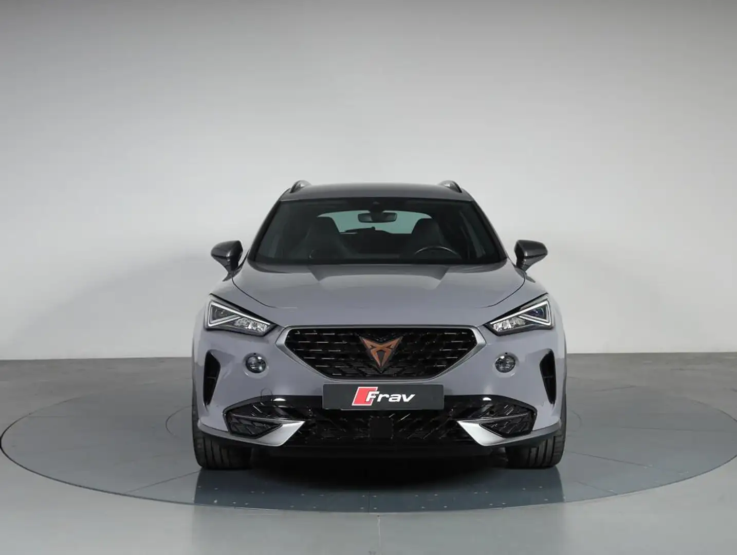 CUPRA Formentor 1.5 tsi dsg Gris - 2