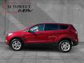 Ford Kuga 1.5 Titanium 4*4 /R-CAM/1.HD/APP/TEMPOMAT Rot - thumbnail 3