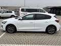 Ford Focus 1.0 EcoBoost ST-Line NAVI ACC RFK Weiß - thumbnail 3