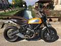 Ducati Scrambler 800 Classic Giallo - thumbnail 1