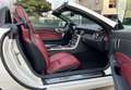 Mercedes-Benz SLK 250 SLK 250 cdi Sport Automatico Pelle Rossa Navi Blanc - thumbnail 13