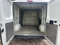 Fiat Ducato 33 2.3 OTTIMO STATO NESSUN LAVORO DA FARE Bianco - thumbnail 11