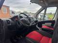 Fiat Ducato 33 2.3 OTTIMO STATO NESSUN LAVORO DA FARE Bianco - thumbnail 9