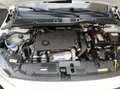 Opel Corsa 1.5 D Edition 100 cv S&S CarPlay Bianco Tetto Nero Weiß - thumbnail 26