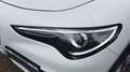 Alfa Romeo Stelvio 2.2 Turbo Business Bianco - thumbnail 14