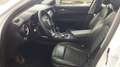 Alfa Romeo Stelvio 2.2 Turbo Business Bianco - thumbnail 11