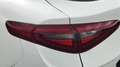 Alfa Romeo Stelvio 2.2 Turbo Business Bianco - thumbnail 15