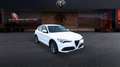 Alfa Romeo Stelvio 2.2 Turbo Business Bianco - thumbnail 3
