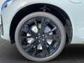 Volvo XC60 T8 Plus Black Edition AHK Lagom Licht Grau - thumbnail 15