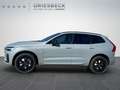 Volvo XC60 T8 Plus Black Edition AHK Lagom Licht Grau - thumbnail 2