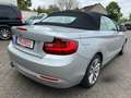 BMW 220 BMW 220d Aut Cabrio Luxury Navi Xen Leder Kamera Silber - thumbnail 7