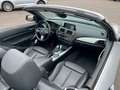 BMW 220 BMW 220d Aut Cabrio Luxury Navi Xen Leder Kamera Silber - thumbnail 14