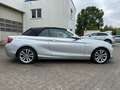 BMW 220 BMW 220d Aut Cabrio Luxury Navi Xen Leder Kamera Silber - thumbnail 8