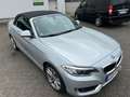 BMW 220 BMW 220d Aut Cabrio Luxury Navi Xen Leder Kamera Silber - thumbnail 4