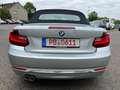 BMW 220 BMW 220d Aut Cabrio Luxury Navi Xen Leder Kamera Silber - thumbnail 6